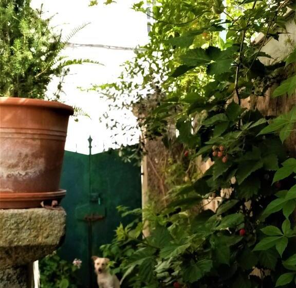 پانسیون Casa Da Judiaria Velha