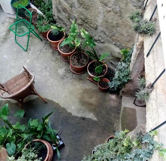 پانسیون Casa Da Judiaria Velha