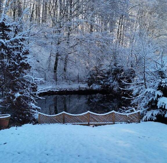 بنسيون Fontana Erdélyi Vendégház 2