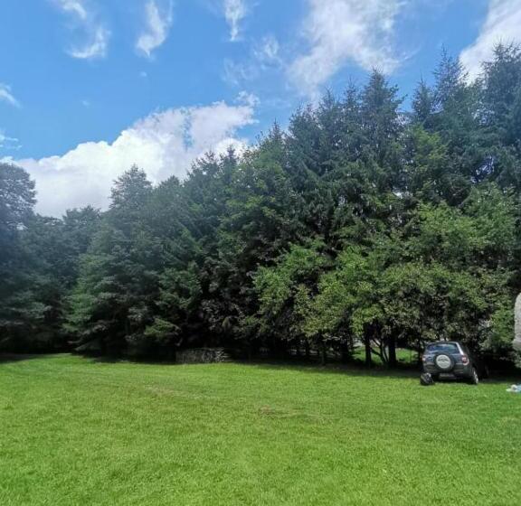 Пансион Fontana Erdélyi Vendégház 2