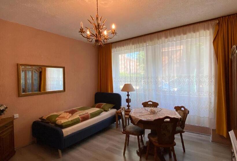 פנסיון Gelsenkirchen Am Flöz