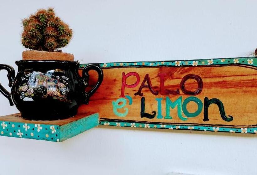 Пансион Hermoso Palomino