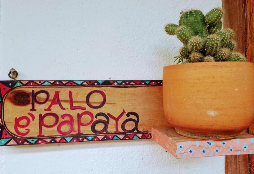 بنسيون Hermoso Palomino