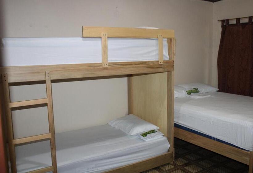 פנסיון Hipilandia Amazonas Hostel