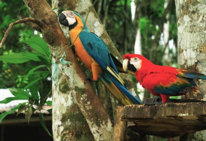 پانسیون Hipilandia Amazonas Hostel