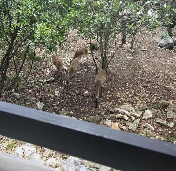 펜션 Lakeside Escape