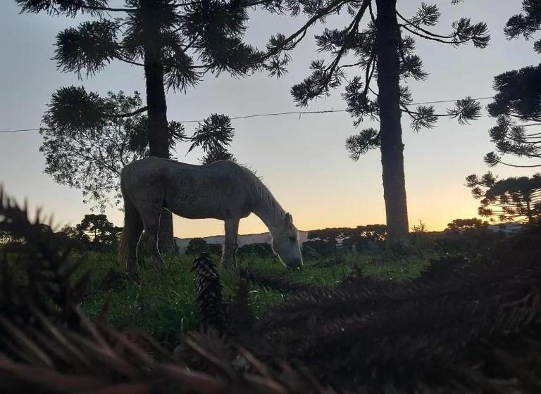 Пансион Pousada Recanto Das Araucárias