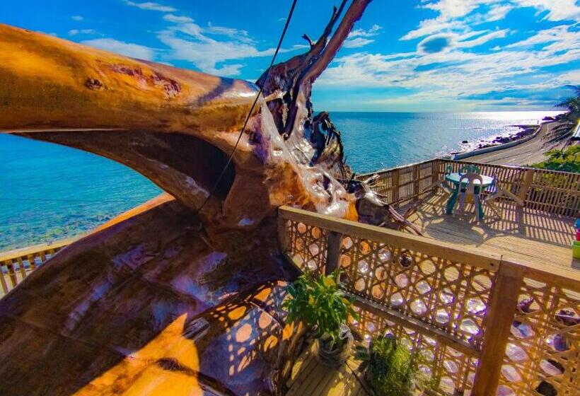 ペンション Truth Be Found Ministry Resort