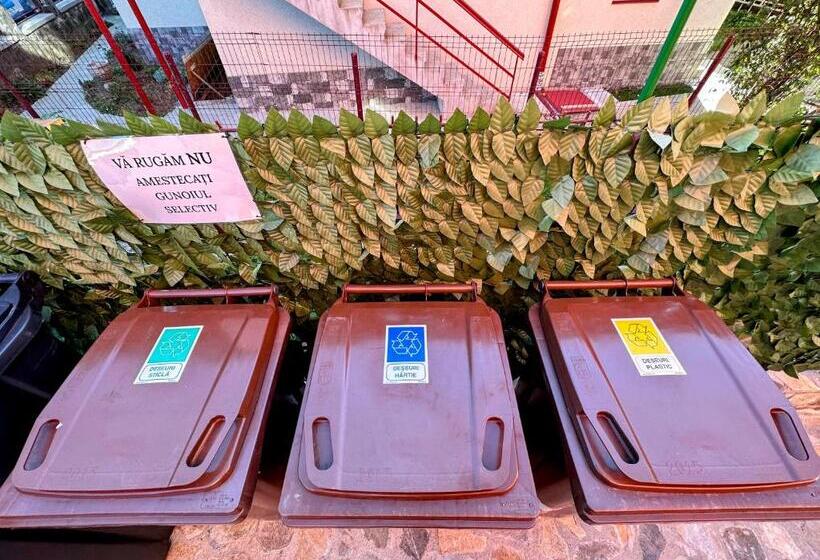 بنسيون Valea Albă View   Self Check In