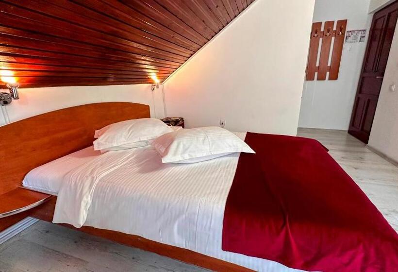 بنسيون Valea Albă View   Self Check In