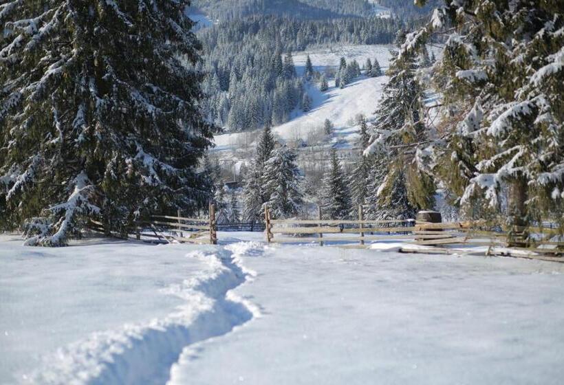 פנסיון Vila Dorna Royal