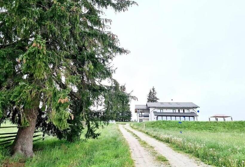 פנסיון Vila Dorna Royal