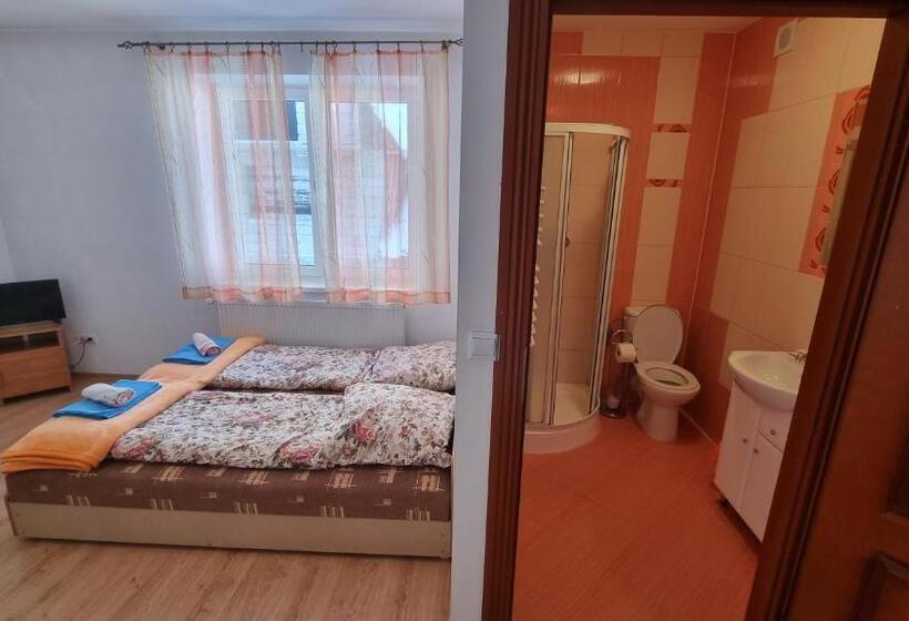 פנסיון Willa U Skrajnioka