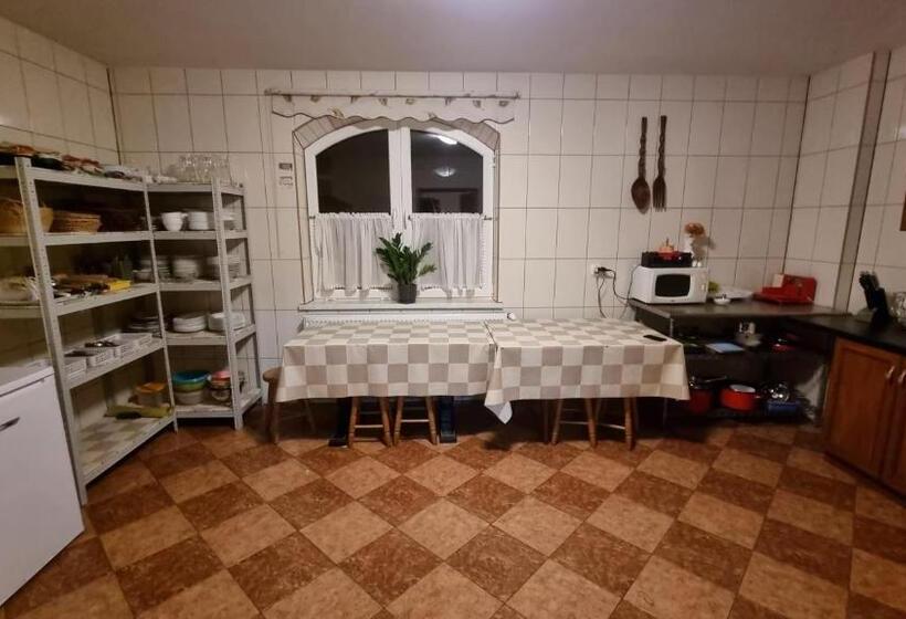 פנסיון Willa U Skrajnioka