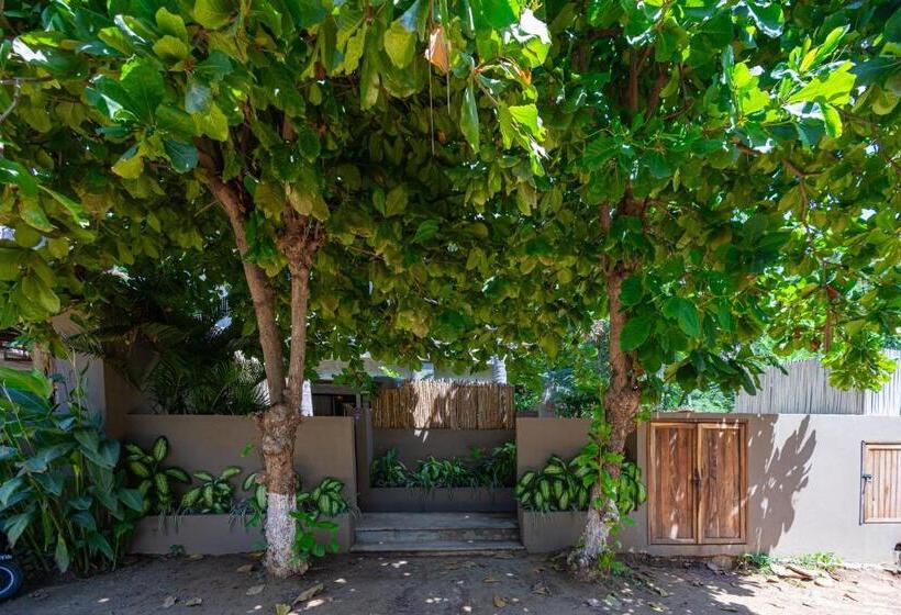 Raíz Hotel Boutique