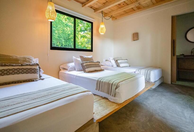 Raíz Hotel Boutique