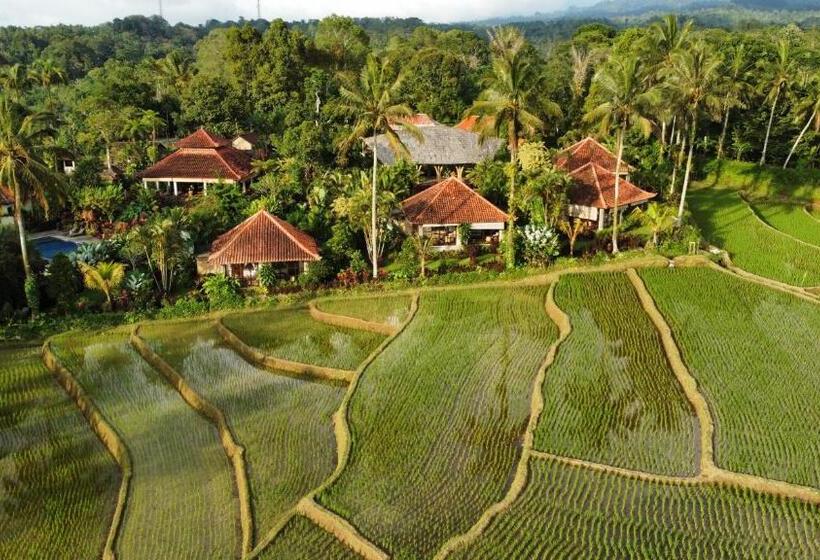 منتجع Sava Eco Retreat