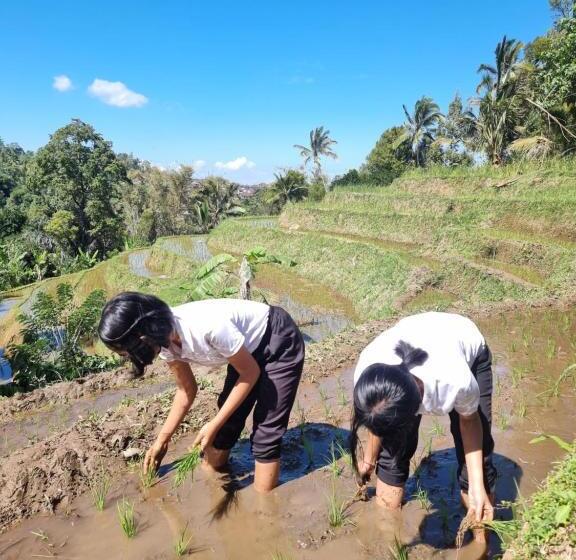 منتجع Sava Eco Retreat