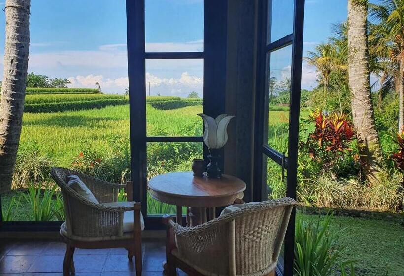 منتجع Sava Eco Retreat