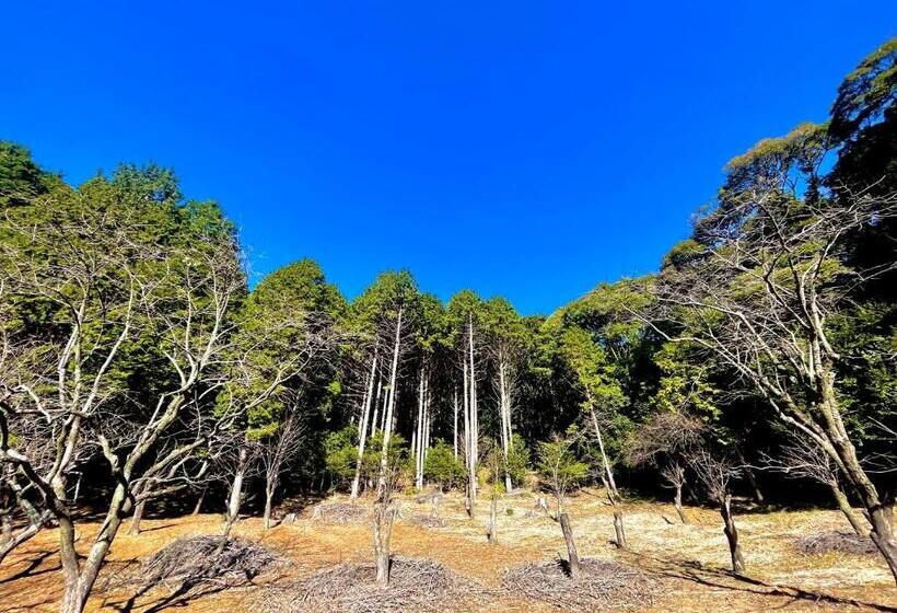 הוסטל 自然豊かな隠れ家ゲストハウス和村nagomura