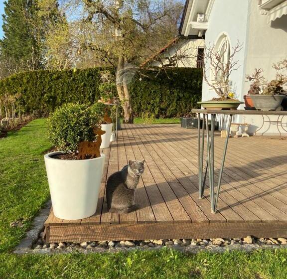 住宿加早餐 Das Blaue Haus Ein Sommertraum Und Ein Wintermärchen