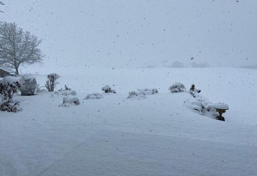 住宿加早餐 Das Blaue Haus Ein Sommertraum Und Ein Wintermärchen