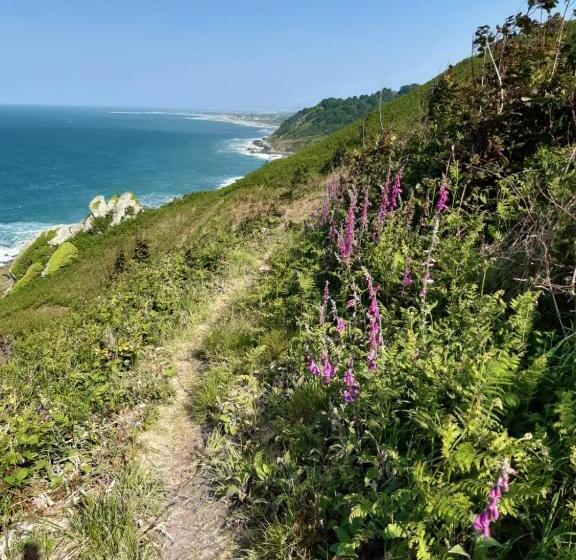 مبيت وإفطار Reve Capel