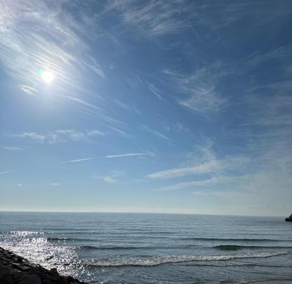 住宿加早餐  The Roofport