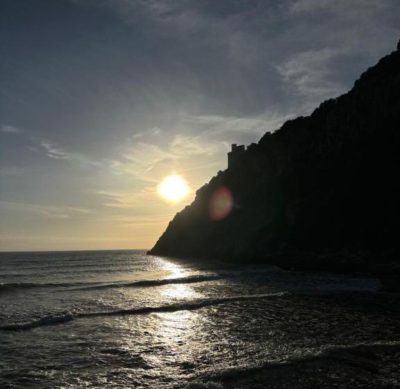 住宿加早餐  The Roofport