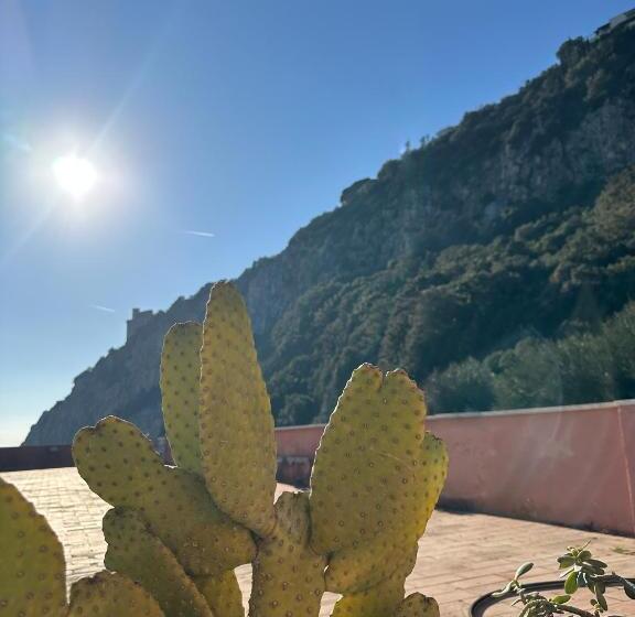 住宿加早餐  The Roofport