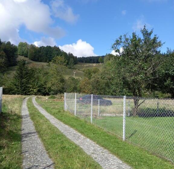 Отель Agroturystyka Yvonne