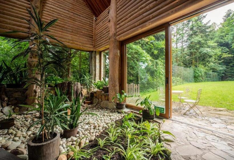 فندق Bacówka Biały Jeleń