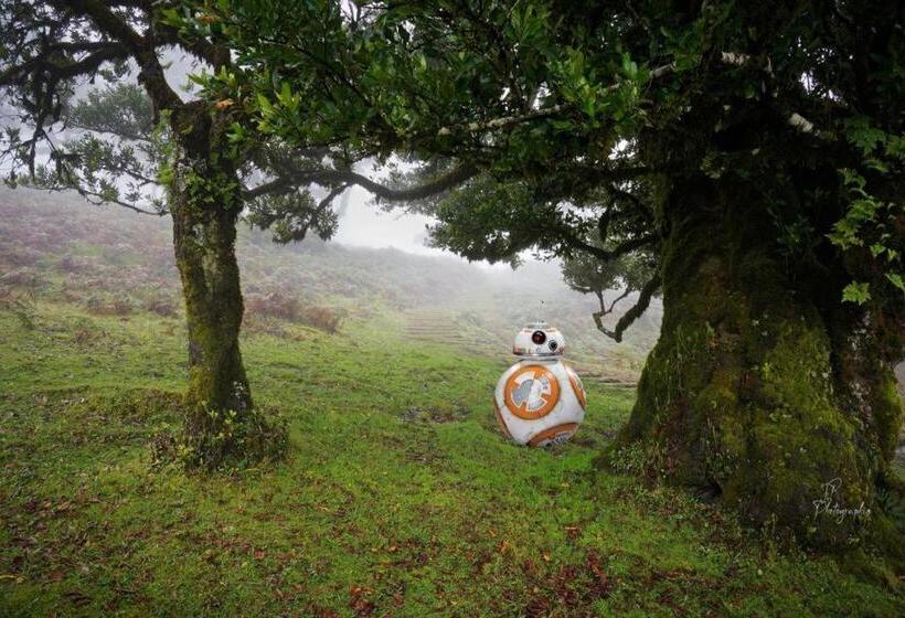 호텔 Baia Seixal Oceanfront