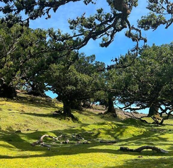 호텔 Baia Seixal Oceanfront