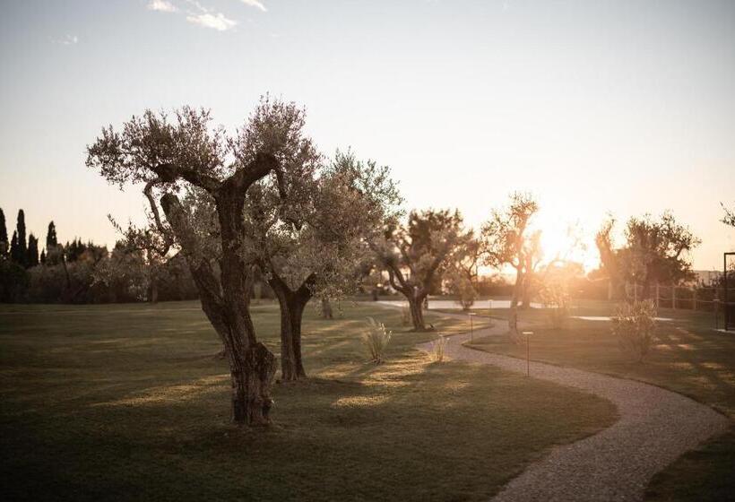 فندق Cape Of Senses