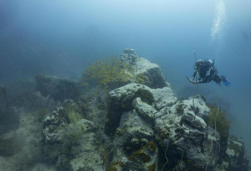 Szálloda Diver S House