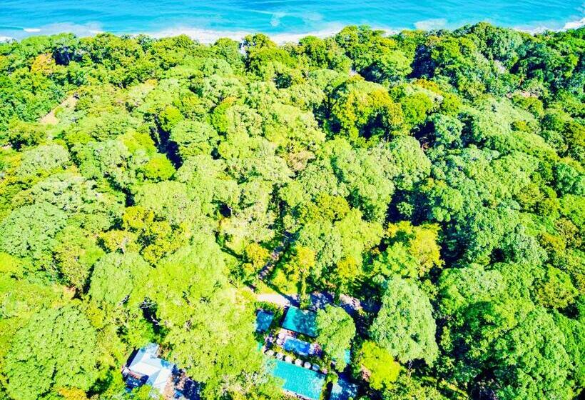 酒店 Exôtico Beach & Rooms