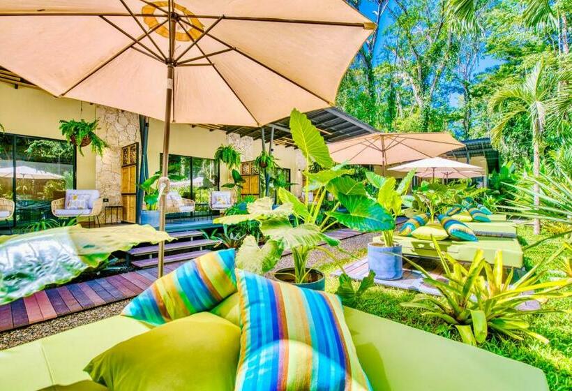 酒店 Exôtico Beach & Rooms