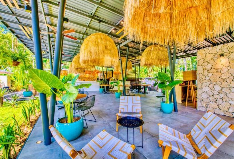 酒店 Exôtico Beach & Rooms