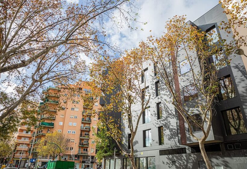 هتل Js Palma Plaza