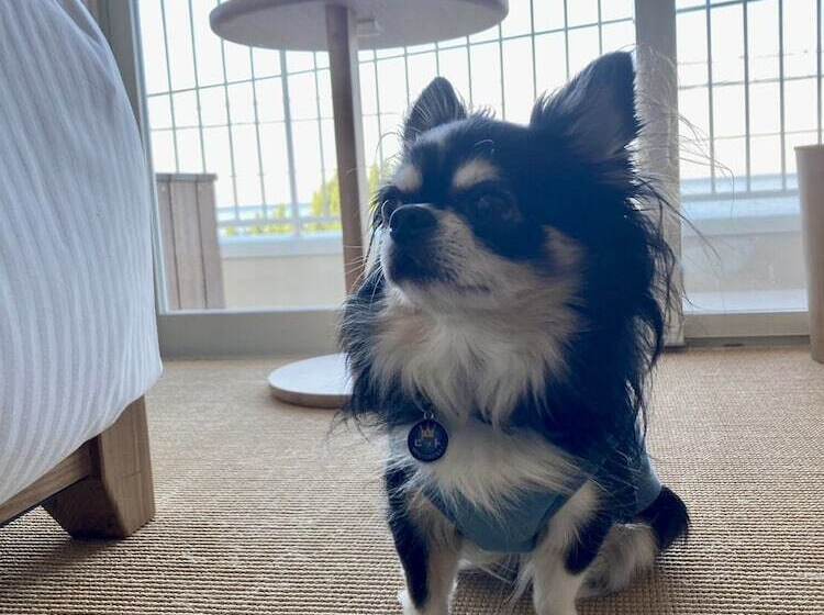 Kamome Slow Hotel The Compact