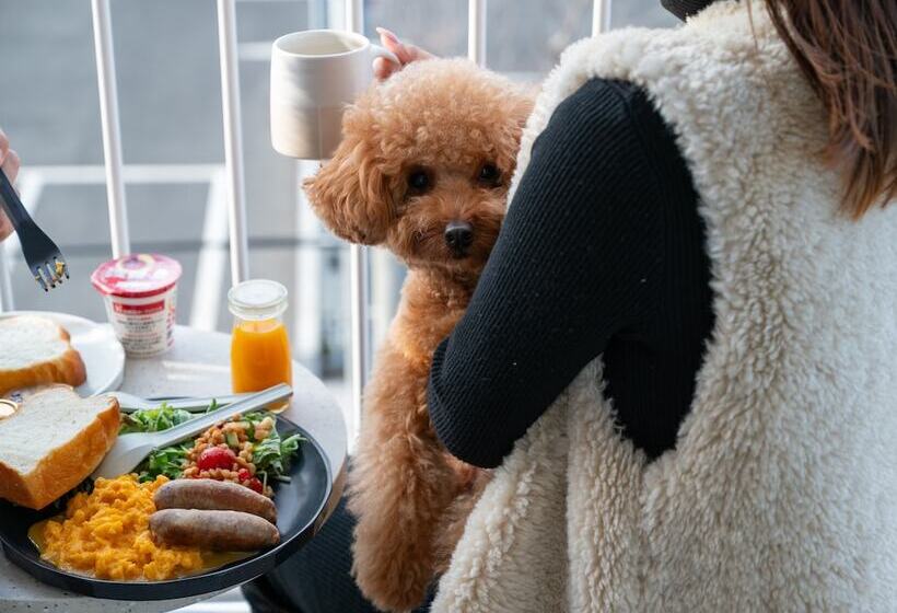 Kamome Slow Hotel The Compact