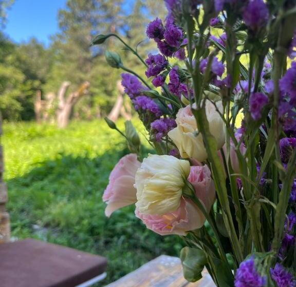 Kompozitor Hotel Dilijan