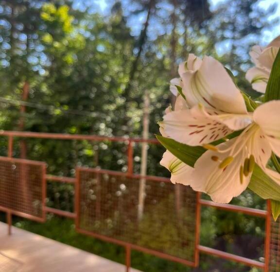 Kompozitor Hotel Dilijan