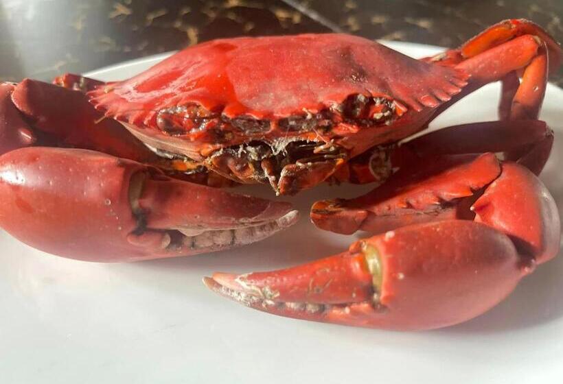 پانسیون Bella Louise House