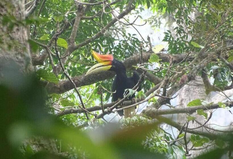 پانسیون Bukit Lawang Adventum