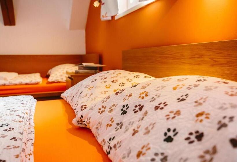 بنسيون Chata ťapka