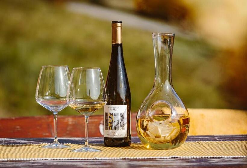 פנסיון Chata ťapka