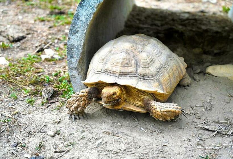 膳宿费 Footprint B&b