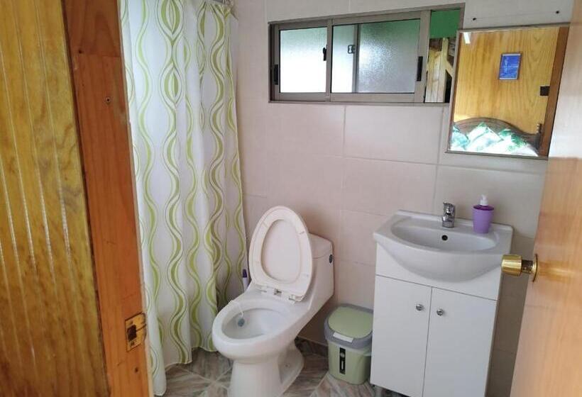 פנסיון Hostal Avareipua